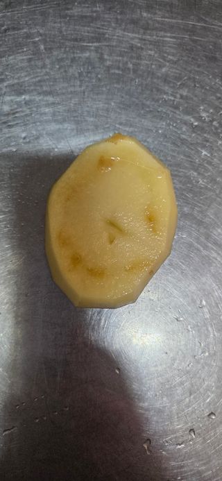 드리머님의 농사, 무엇이든 물어보세요! · 참여글 작성글 사진