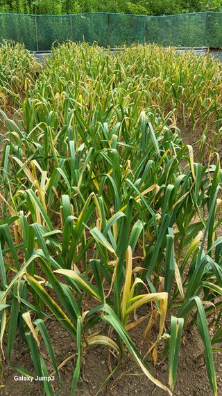 박기식 님의 자유주제 · 자유게시판 작성글 사진