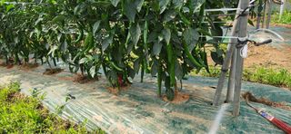 박종혁 님의 자유주제 · 자유게시판 작성글 사진