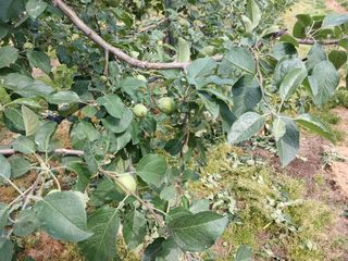 알 수 없음님의 자유주제 · 자유게시판 작성글 사진