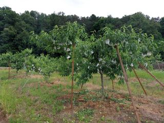 시골살이님의 자유주제 · 자유게시판 작성글 사진