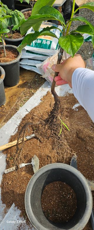 박봉동님의 자유주제 · 사진전 작성글 사진