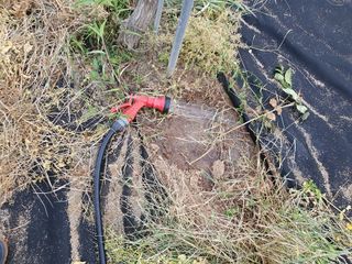 한상동님의 자유주제 · 자유게시판 작성글 사진