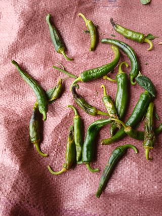 최남옥님의 자유주제 · 자유게시판 작성글 사진