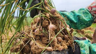 조한솔님의 작성글 사진