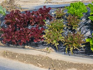 정재남님의 자유주제 · 자유게시판 작성글 사진