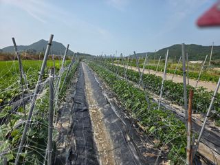 정연순님의 자유주제 · 자유게시판 작성글 사진