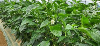 박종혁 님의 자유주제 · 자유게시판 작성글 사진