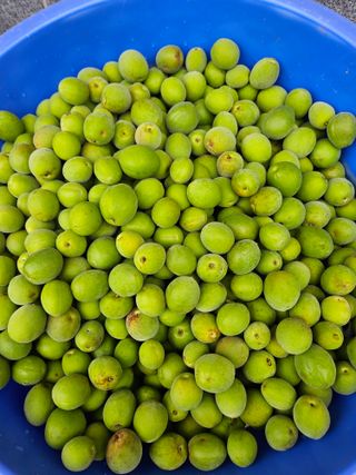 송진술♡ 수원♡님의 자유주제 · 자유게시판 작성글 사진