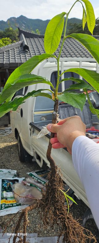 박봉동님의 자유주제 · 사진전 작성글 사진