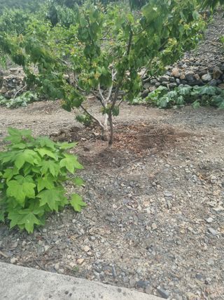 김용대님의 자유주제 · 자유게시판 작성글 사진