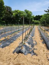 팜모닝 자유주제·자유게시판 게시글 이미지