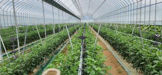 박종혁 님의 자유주제 · 자유게시판 작성글 사진