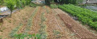 오이4915님의 자유주제 · 자유게시판 작성글 사진