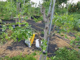 한상동님의 자유주제 · 자유게시판 작성글 사진