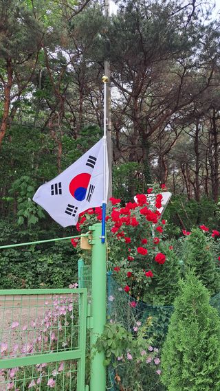 bpjh9173님의 자유주제 · 자유게시판 작성글 사진