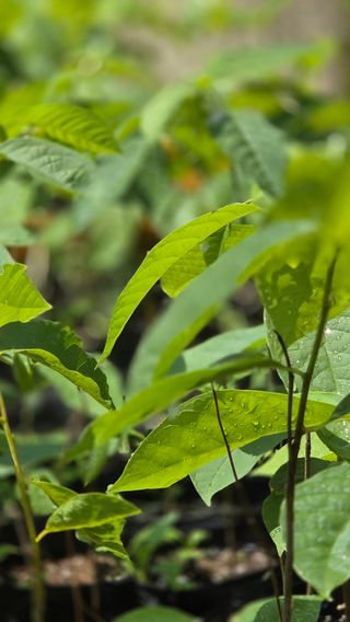 복주농장님의 자유주제 · 자유게시판 작성글 사진