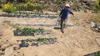 조운님의 자유주제 · 자유게시판 작성글 사진