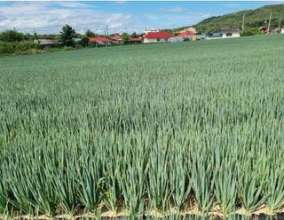 퇴비사랑님의 자유주제 · 자유게시판 작성글 사진