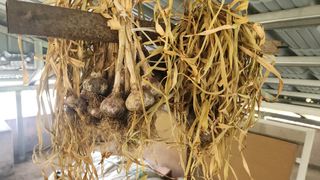 조운님의 자유주제 · 자유게시판 작성글 사진