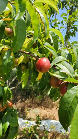 한재골님의 자유주제 · 자유게시판 작성글 사진