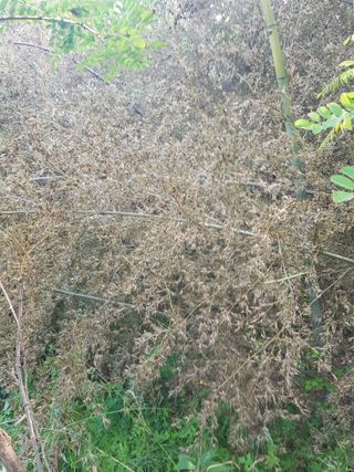 김경희님의 자유주제 · 자유게시판 작성글 사진