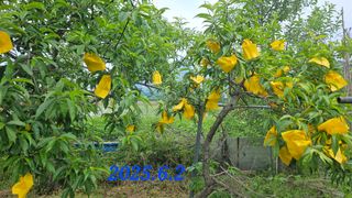 김인곤님의 자유주제 · 자유게시판 작성글 사진