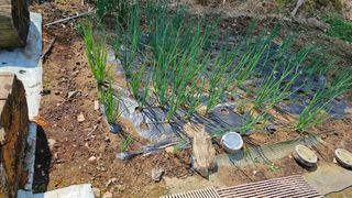 정금기님의 자유주제 · 자유게시판 작성글 사진