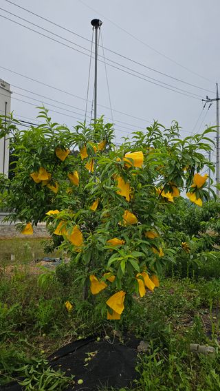 김인곤님의 자유주제 · 자유게시판 작성글 사진