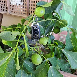 안광희님의 자유주제 · 자유게시판 작성글 사진