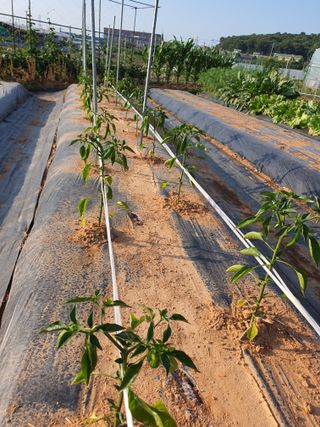 이용순님의 자유주제 · 자유게시판 작성글 사진