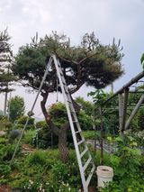 팜모닝 자유주제·자유게시판 게시글 이미지