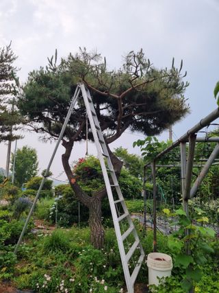 이남신님의 자유주제 · 자유게시판 작성글 사진