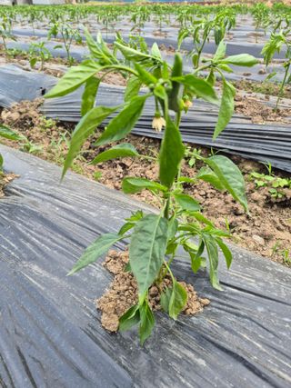 이정민님의 자유주제 · 자유게시판 작성글 사진