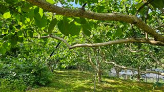 늘푸른농장님의 자유주제 · 자유게시판 작성글 사진