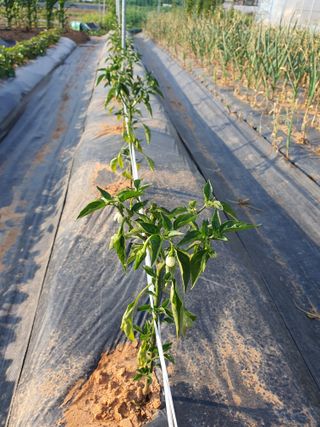 이용순님의 자유주제 · 자유게시판 작성글 사진