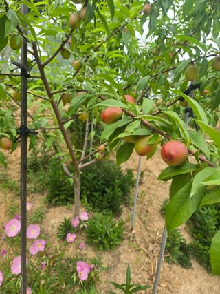 자연인님의 자유주제 · 자유게시판 작성글 사진