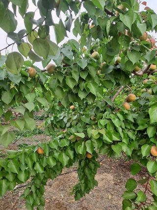 자연인님의 자유주제 · 자유게시판 작성글 사진