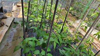 정금기님의 자유주제 · 자유게시판 작성글 사진