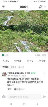 팜모닝 · 게시글 이미지