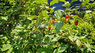 정금기님의 자유주제 · 자유게시판 작성글 사진