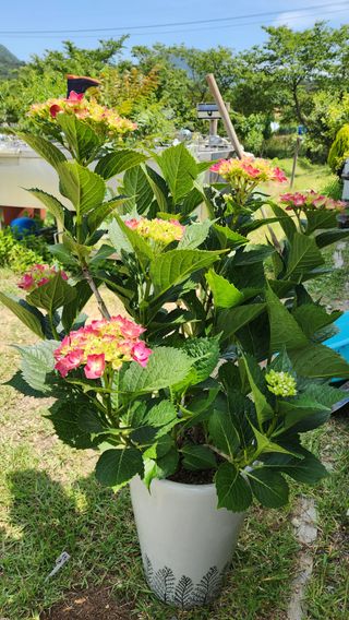 한재골님의 자유주제 · 자유게시판 작성글 사진