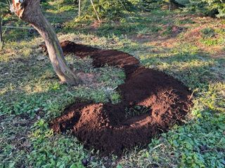 퇴비사랑님의 자유주제 · 자유게시판 작성글 사진