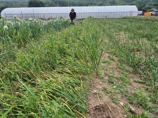 왕초보님의 자유주제 · 자유게시판 작성글 사진