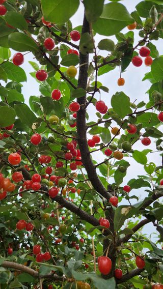 한재골님의 자유주제 · 자유게시판 작성글 사진