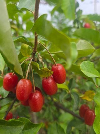 자연인님의 자유주제 · 자유게시판 작성글 사진