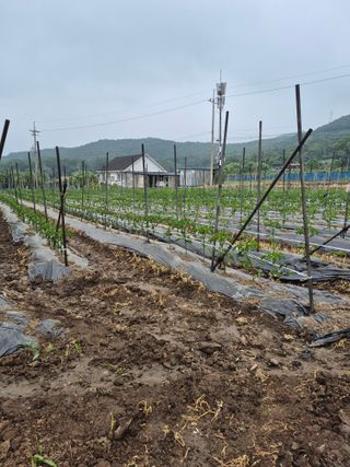 이정민님의 자유주제 · 자유게시판 작성글 사진