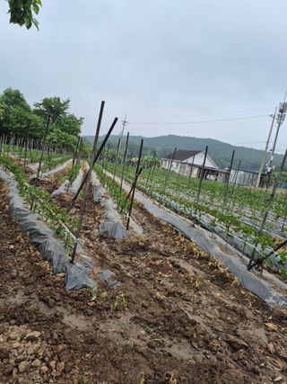 이정민님의 자유주제 · 자유게시판 작성글 사진