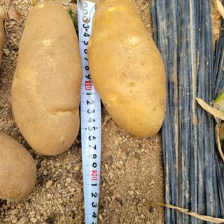 이창화님의 자유주제 · 자유게시판 작성글 사진