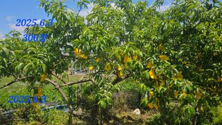 김인곤님의 자유주제 · 자유게시판 작성글 사진